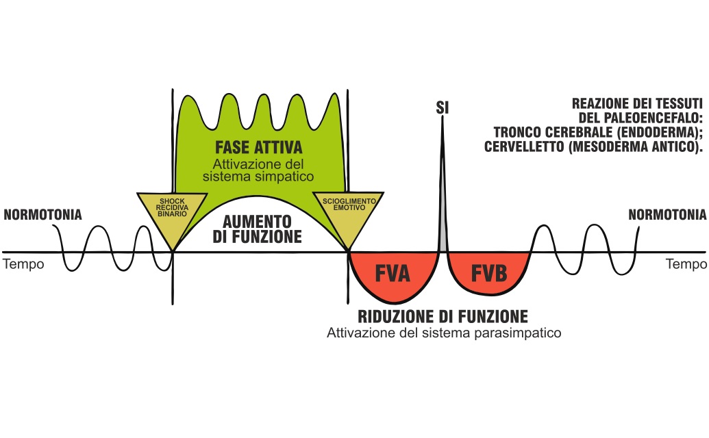 bifasica